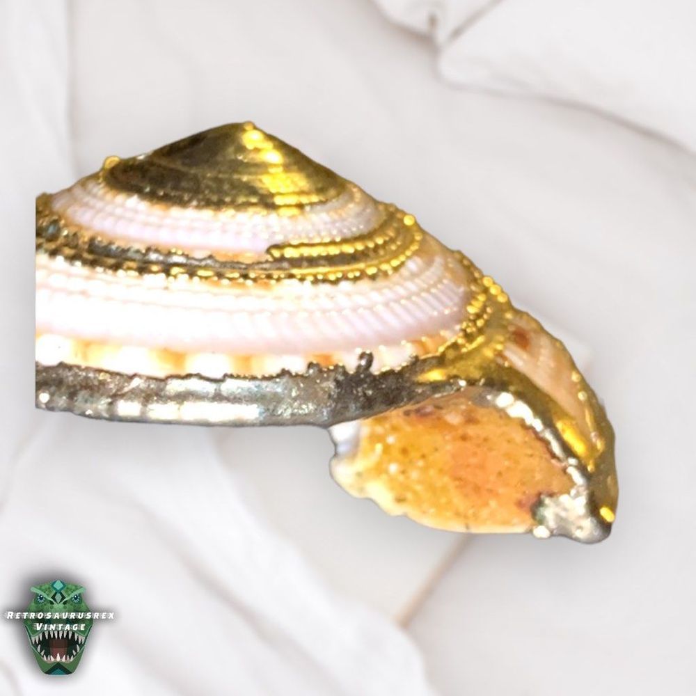 VINTAGE Power Nautilus Seashell & Gold Tone Metal Chain Pendant Mermaid Necklace - Picture 5 of 10
